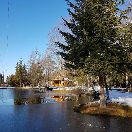 Insolite Chalet De Peche Serenite - Bien Etre Ban-sur-Meurthe-Clefcy Exterior foto