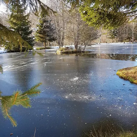 Insolite Chalet De Peche Serenite - Bien Etre Ban-sur-Meurthe-Clefcy Exterior foto