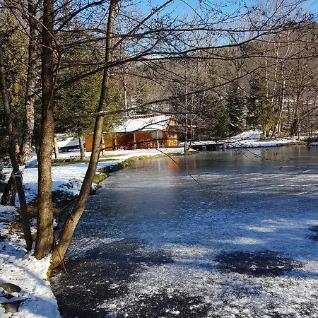 Insolite Chalet De Peche Serenite - Bien Etre Ban-sur-Meurthe-Clefcy Exterior foto