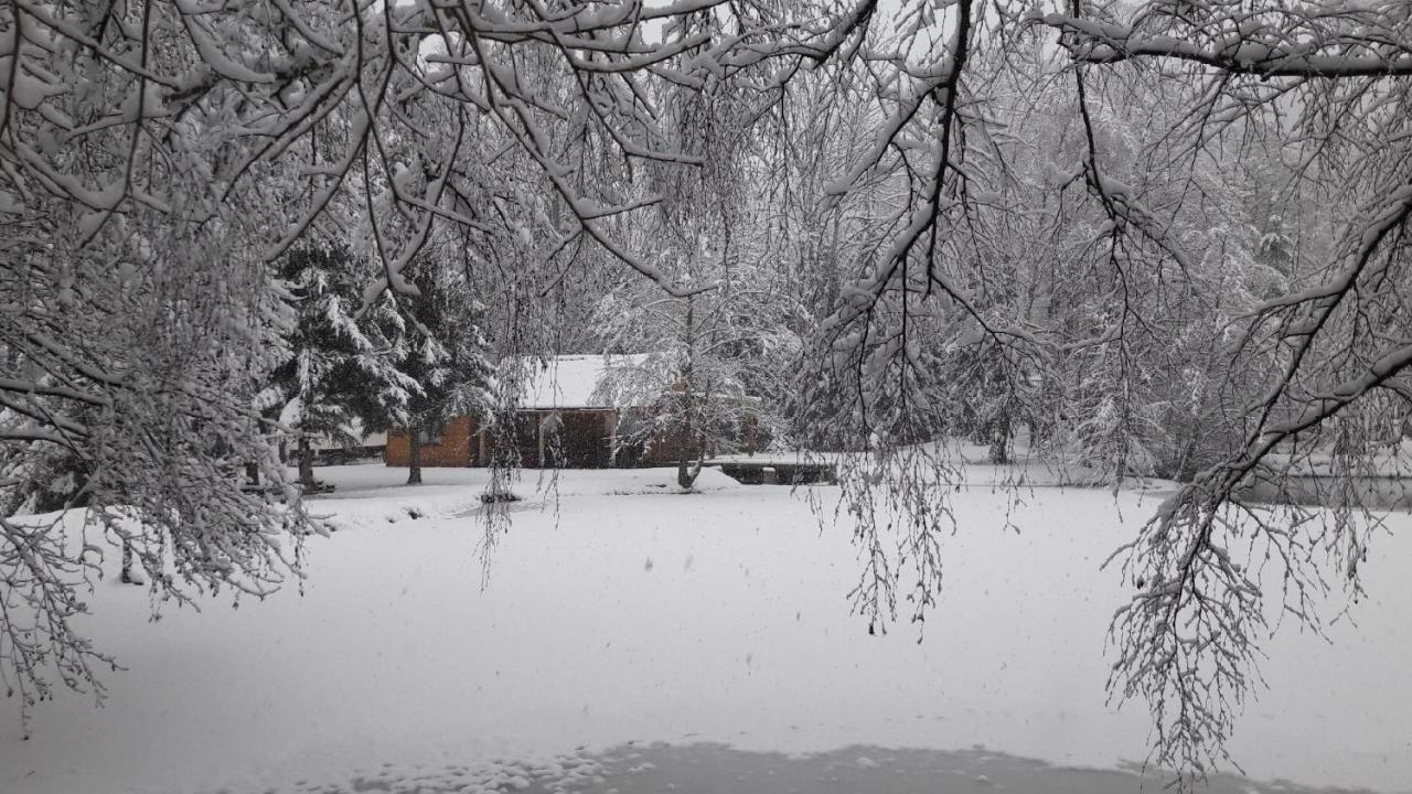 Insolite De Peche Serenite - Bien Etre Chalet Ban-sur-Meurthe-Clefcy