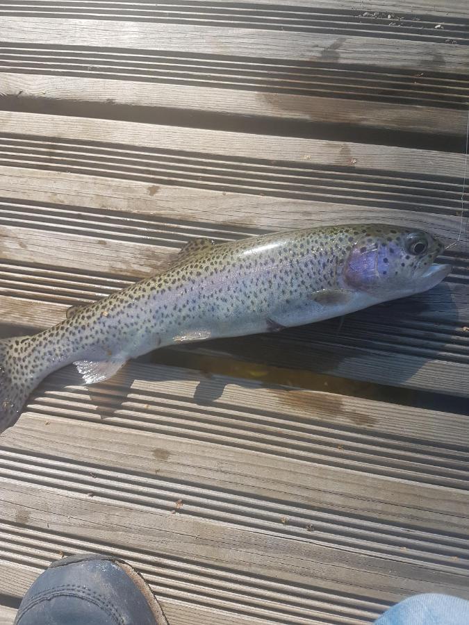 Insolite De Pêche Sérénité - Bien Etre * Ban-sur-Meurthe-Clefcy